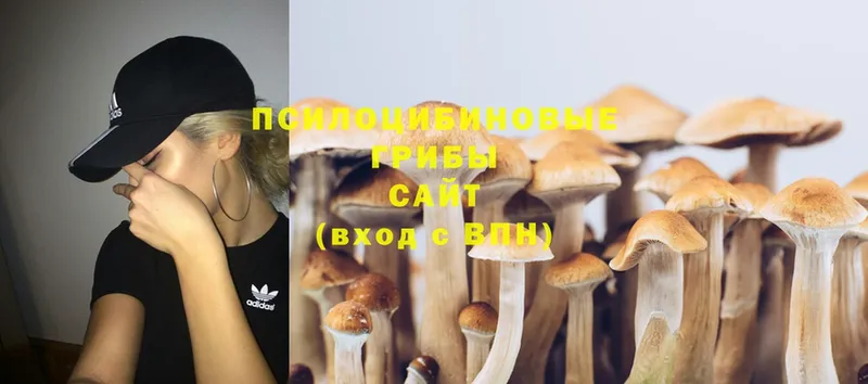 Псилоцибиновые грибы MAGIC MUSHROOMS  Коммунар 